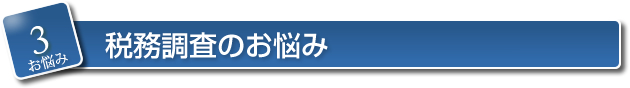 3.税務調査のお悩み